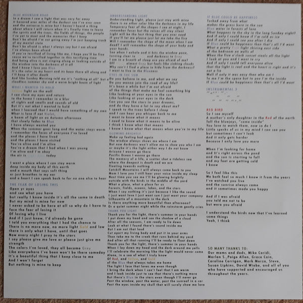 Florist (2) : If Blue Could Be Happiness (LP, Album)