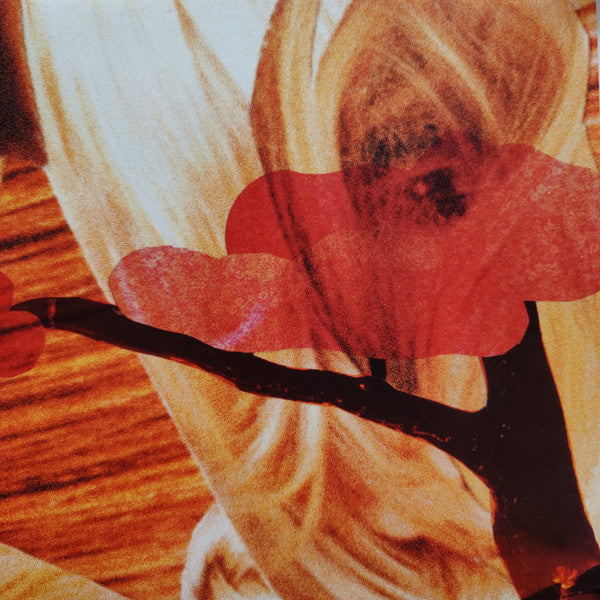 The National : Cherry Tree (12", EP, RE, RM)