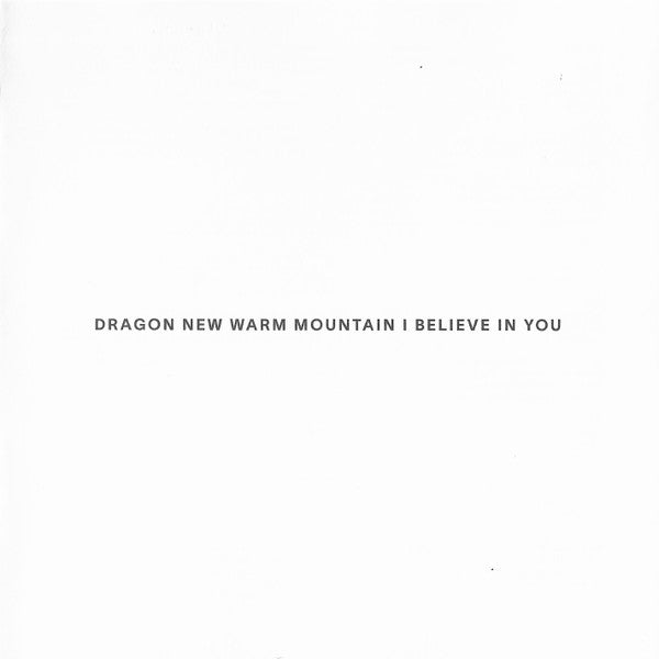 Big Thief : Dragon New Warm Mountain I Believe In You (CD, Album)
