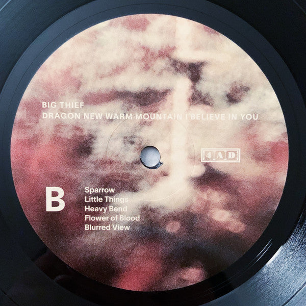 Big Thief : Dragon New Warm Mountain I Believe In You (2xLP, Album)