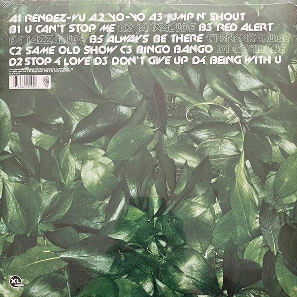 Basement Jaxx : Remedy (2xLP, Album, Ltd, RP, Gol)