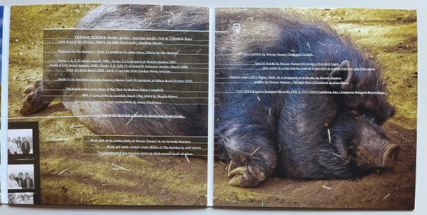 The Bolshoi : Country Life (2xLP, Sun)