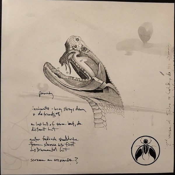 AFI : Sing The Sorrow (2xLP, Album, RE)