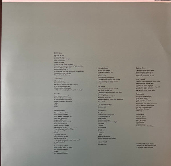 Duster (2) : In Dreams (LP, Album, Ltd, Cle)