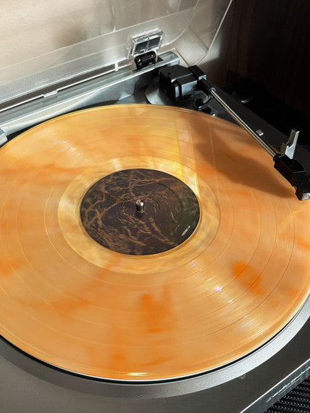 Band Of Horses : Everything All The Time (2xLP, Album, RE, RP, 20t)