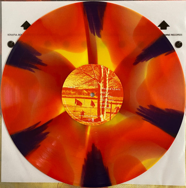 Yeah Yeah Yeahs : Show Your Bones (LP, Album, RE, Yel)