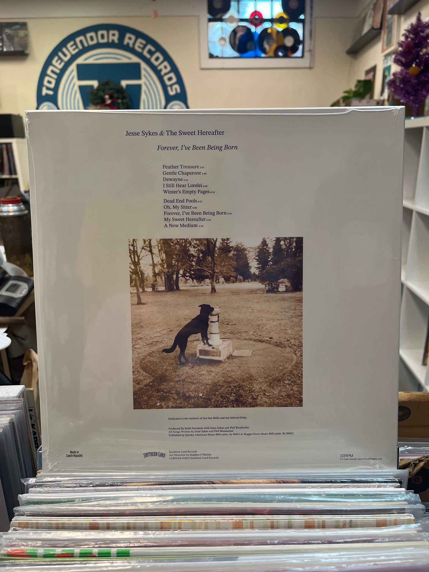 Jesse Sykes & The Sweet Hereafter-Forever, I've Been Being Born RSD Black Friday 2025 LP