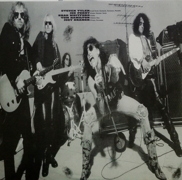 Aerosmith : Get A Grip (2xLP, Album, RE, 180)