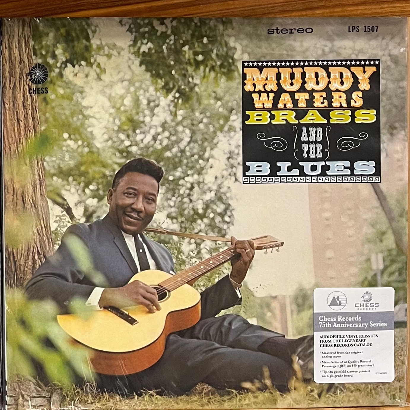 Muddy Waters - Muddy, Brass and the Blues (Chess Acoustic Sounds Series) LP