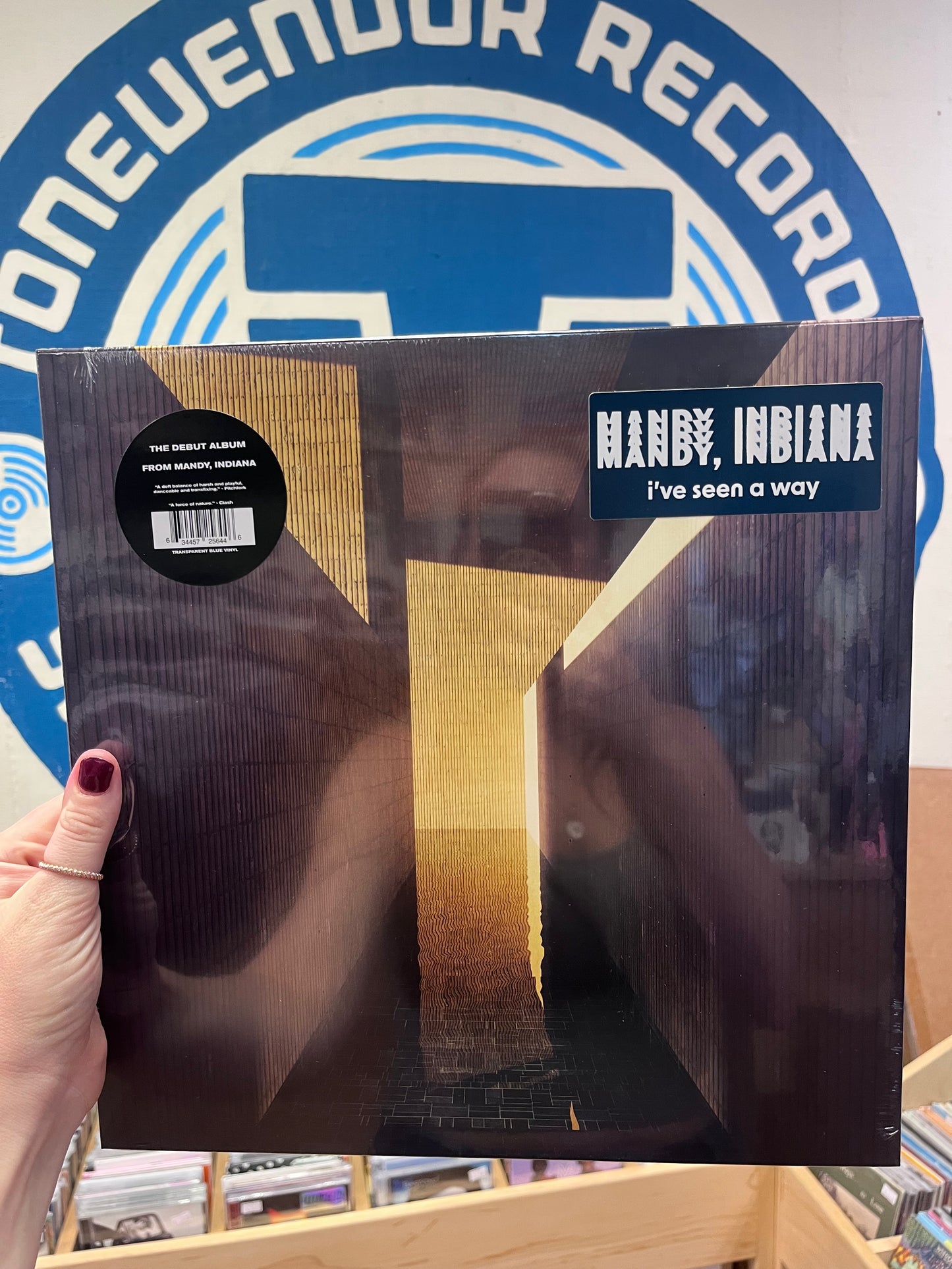 Mandy, Indiana - I’ve Seen A Way Transparent Blue Vinyl LP