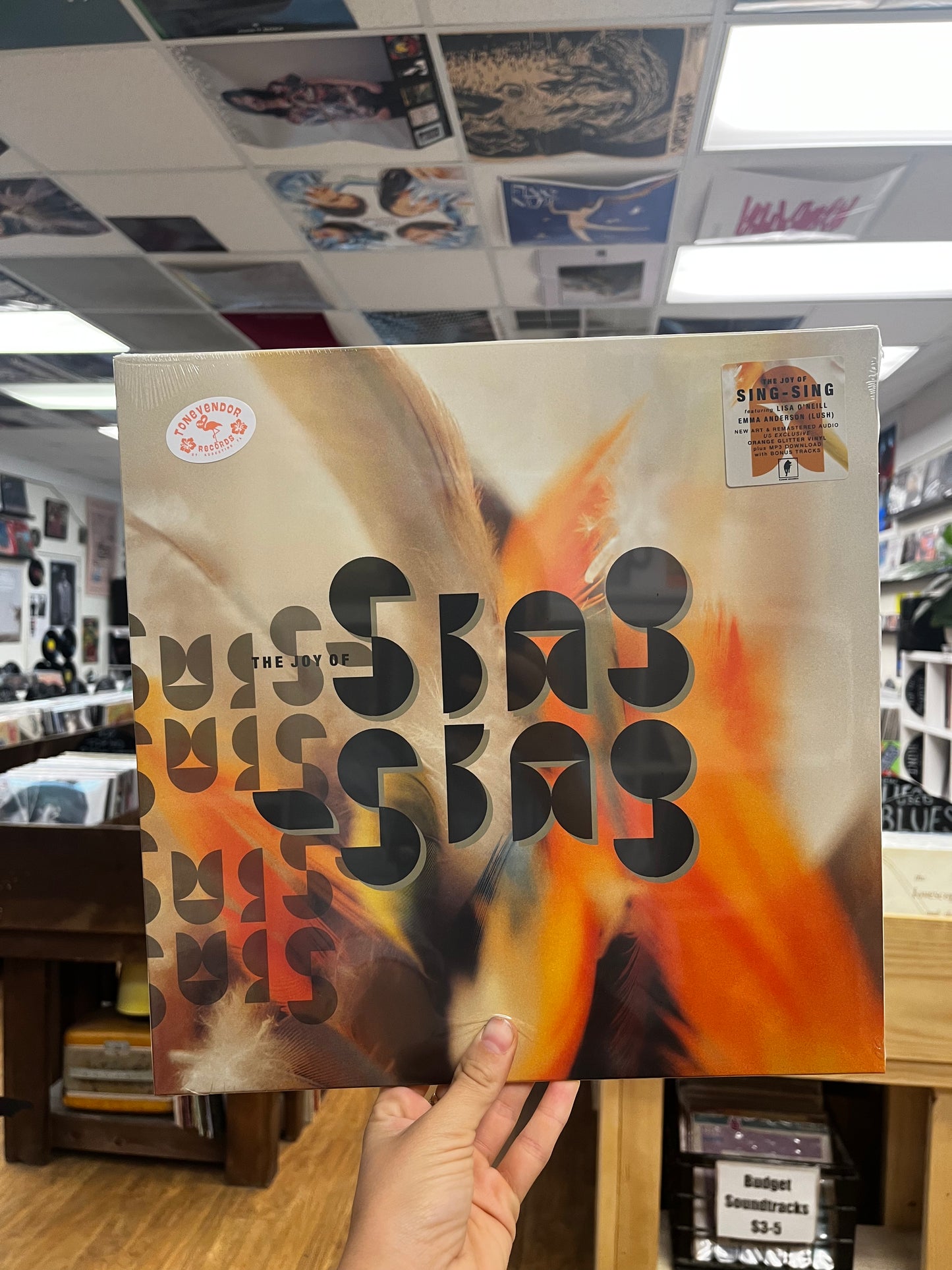 Sing-Sing - The Joy Of Sing-Sing (Orange Glitter Vinyl) LP