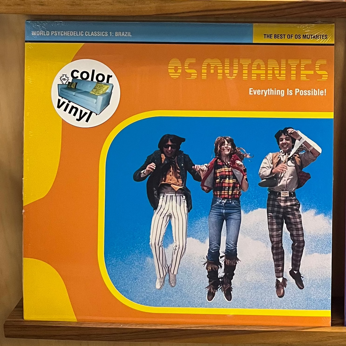 Os Mutantes - Everything Is Possible LP