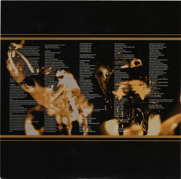 System Of A Down : System Of A Down (LP,Album,Reissue)