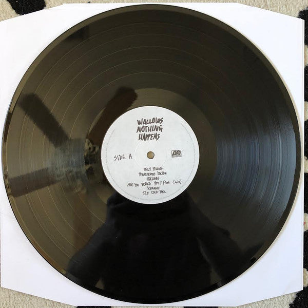 Wallows : Nothing Happens (LP,Album)