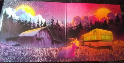 Tyler Childers : Country Squire (LP, Album)