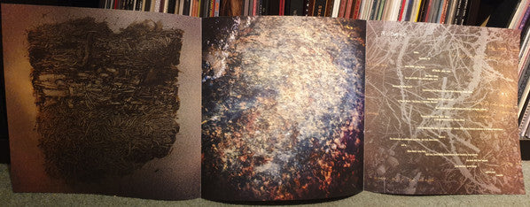 Rodan (3) : Hat Factory '93 (LP, Album)