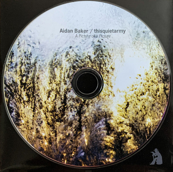 Aidan Baker / thisquietarmy : A Picture Of A Picture (CD, Album)