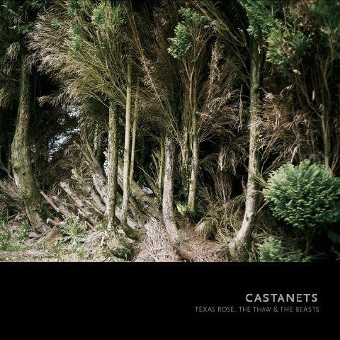 Castanets : Texas Rose, The Thaw & The Beasts (LP, Album)