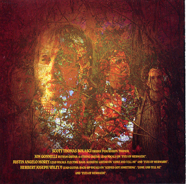 The Black Hollies : Crimson Reflections (CD, Album)