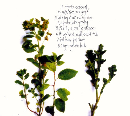 Mitchell Akiyama : If Night Is A Weed And Day Grows Less (CD, Album)