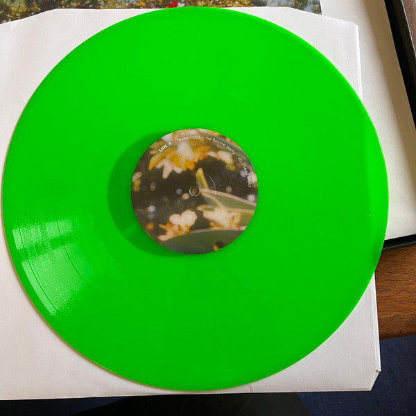 Kara Jackson : Why Does The Earth Give Us People To Love? (2xLP, Album, Gre)