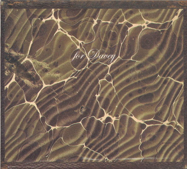 Reigns : We Lowered A Microphone Into The Ground (CD, Album)