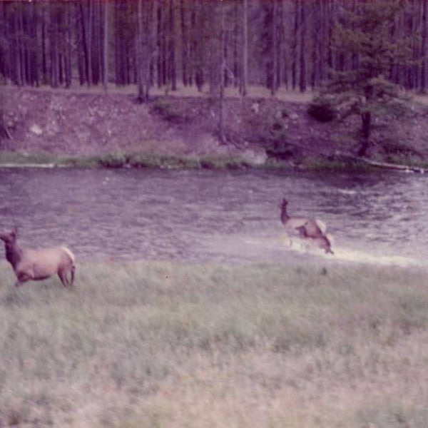 Seahaven : Ghost/Acoustic (12", EP, RP, Pur)