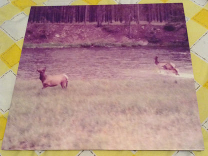 Seahaven : Ghost/Acoustic (12", EP, RP, Pur)