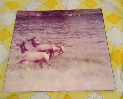 Seahaven : Ghost/Acoustic (12", EP, RP, Pur)