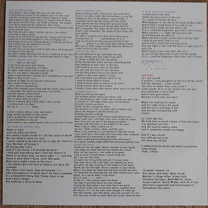 Florist (2) : If Blue Could Be Happiness (LP, Album)