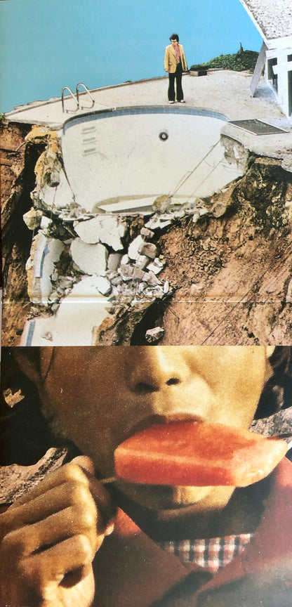 Black Moth Super Rainbow : Panic Blooms (LP + LP, S/Sided, Sil + Album, Ltd, Gol)