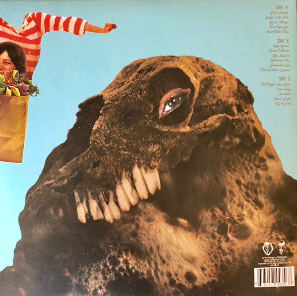 Black Moth Super Rainbow : Panic Blooms (LP + LP, S/Sided, Sil + Album, Ltd, Gol)