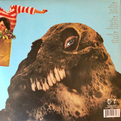Black Moth Super Rainbow : Panic Blooms (LP + LP, S/Sided, Sil + Album, Ltd, Gol)