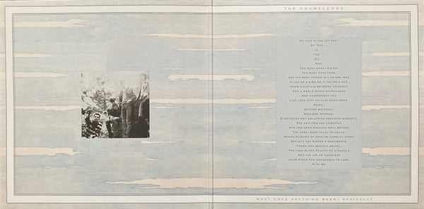 The Chameleons : What Does Anything Mean? Basically (LP, Album, Ltd, RE, RM, Cle)