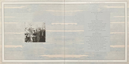 The Chameleons : What Does Anything Mean? Basically (LP, Album, Ltd, RE, RM, Cle)