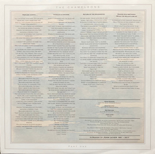 The Chameleons : What Does Anything Mean? Basically (LP, Album, Ltd, RE, RM, Cle)