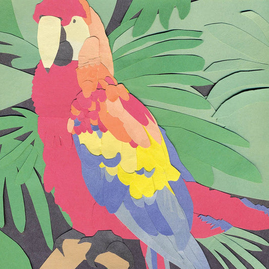Algernon Cadwallader : Parrot Flies (CDr, Album, RE)