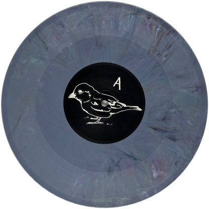 Andrew Jackson Jihad : Only God Can Judge Me (10", EP, RP, Ran)