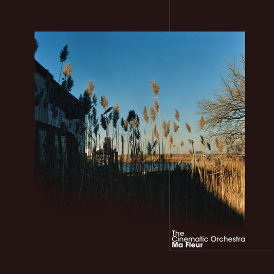 The Cinematic Orchestra : Ma Fleur (2xLP, RE)