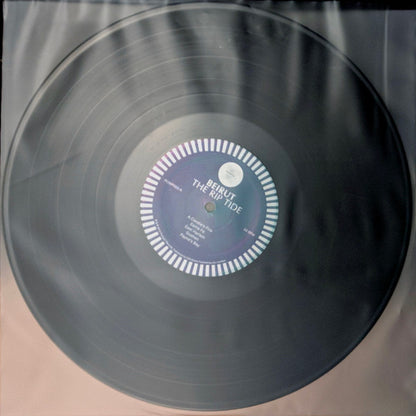 Beirut : The Rip Tide (LP, Album, RE)