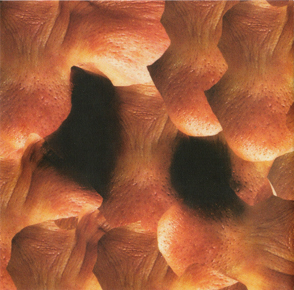 Aphex Twin : Richard D. James Album (CD, Album, RE)