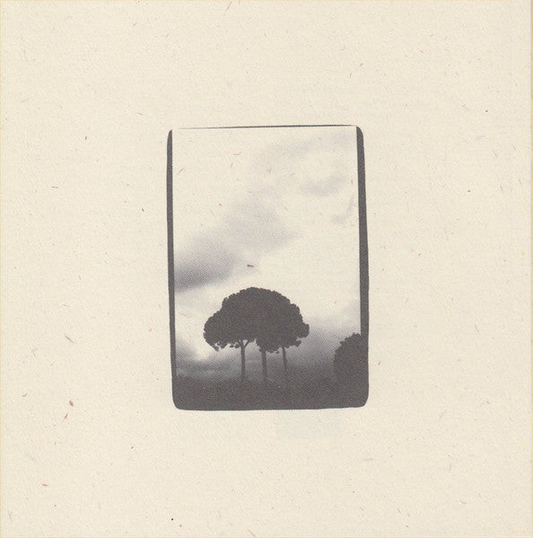 Iron & Wine* : The Creek Drank The Cradle (CD, Album)
