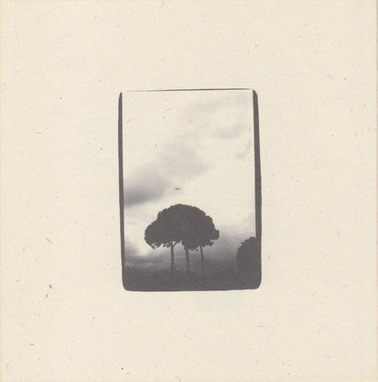 Iron & Wine* : The Creek Drank The Cradle (CD, Album)