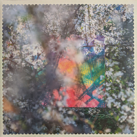 Four Tet : Sixteen Oceans (2xLP, Album)