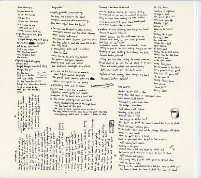 Adrianne Lenker : Songs And Instrumentals (2xCD, Album)