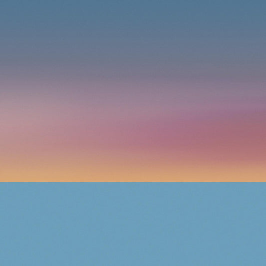 James McAlister : Scissortail (LP, Album)