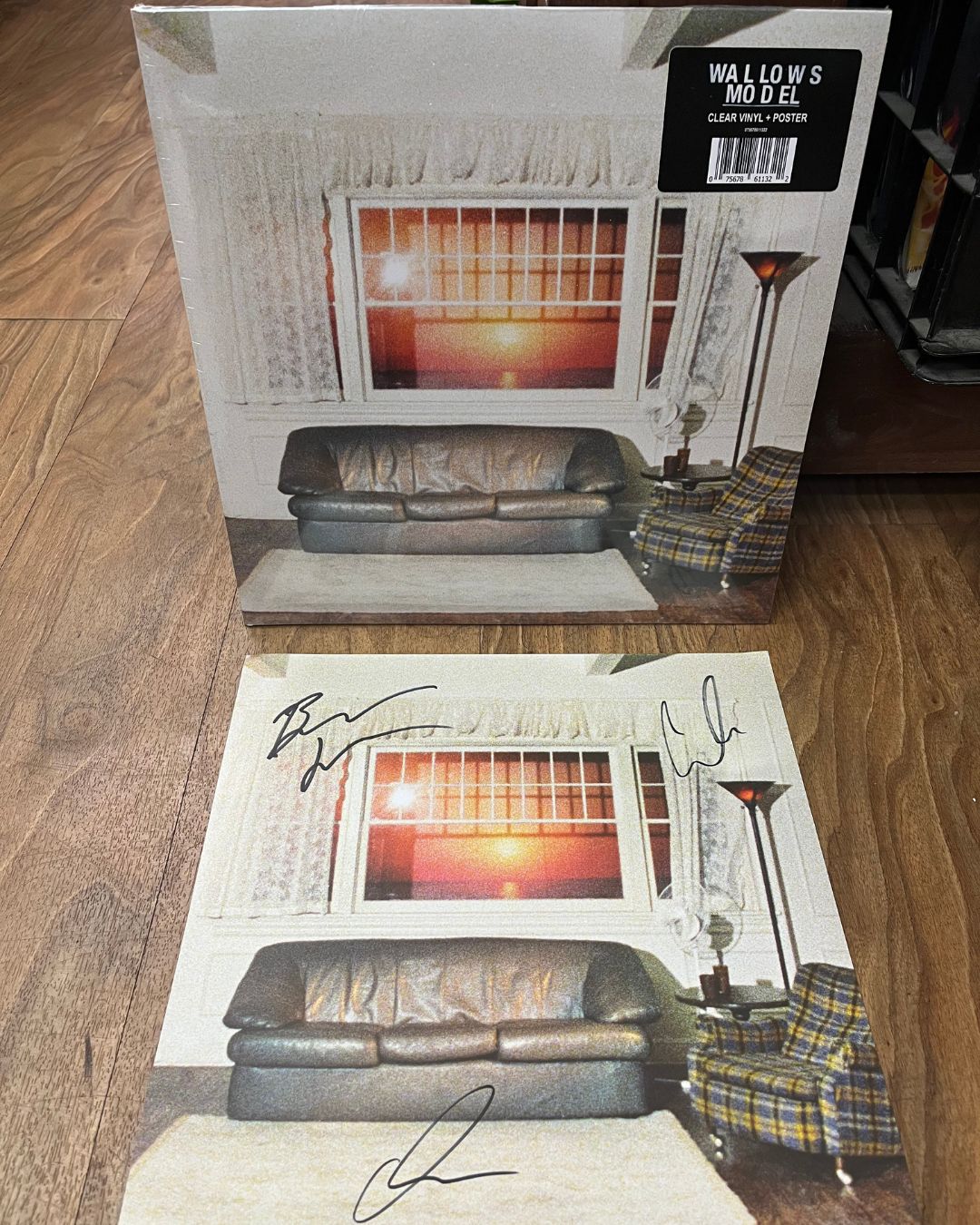 Wallows - Model (LP, Album, Cle)