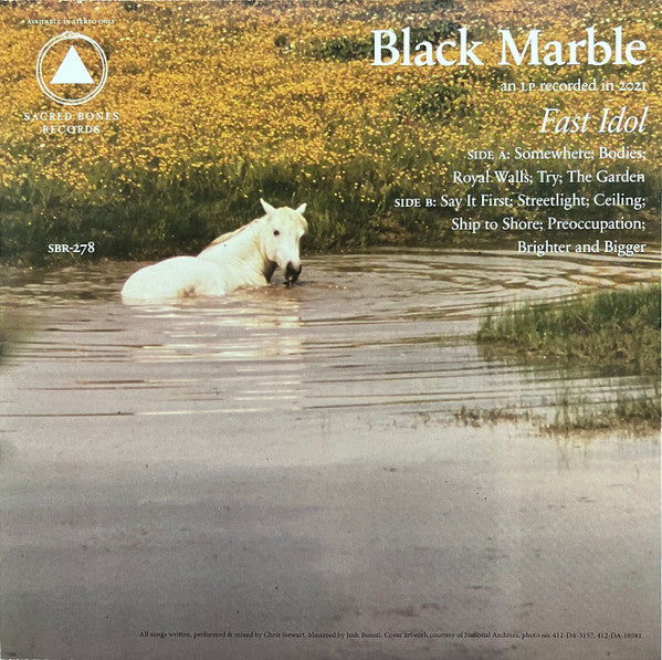Black Marble : Fast Idol (LP, Album, Ltd, Gol)