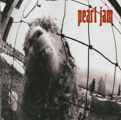 Pearl Jam : Vs. (CD, Album, RP)