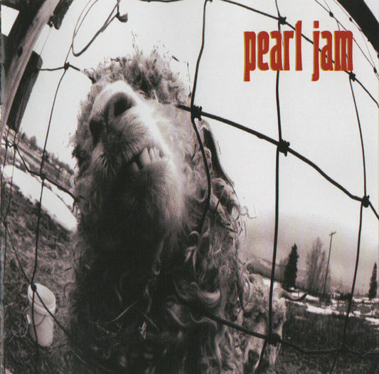 Pearl Jam : Vs. (CD, Album, RP)